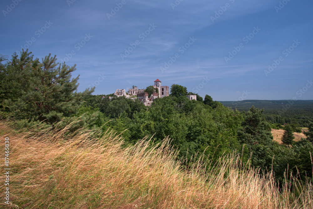Zamek w Tenczynku - Jura krakowsko-częstochowska