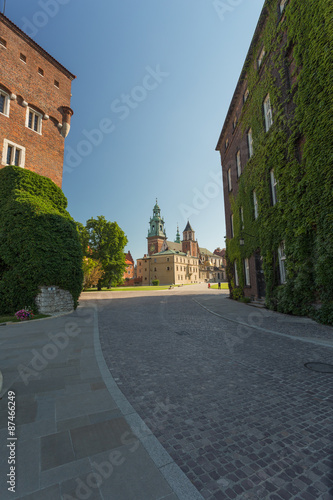 Cracow / Wawel Castle #87466249