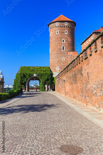 Cracow / Wawel Castle #87466282