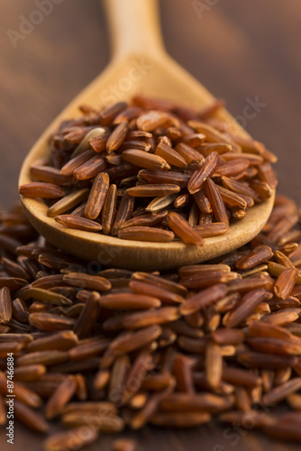 Wallpaper Mural red rice Torontodigital.ca