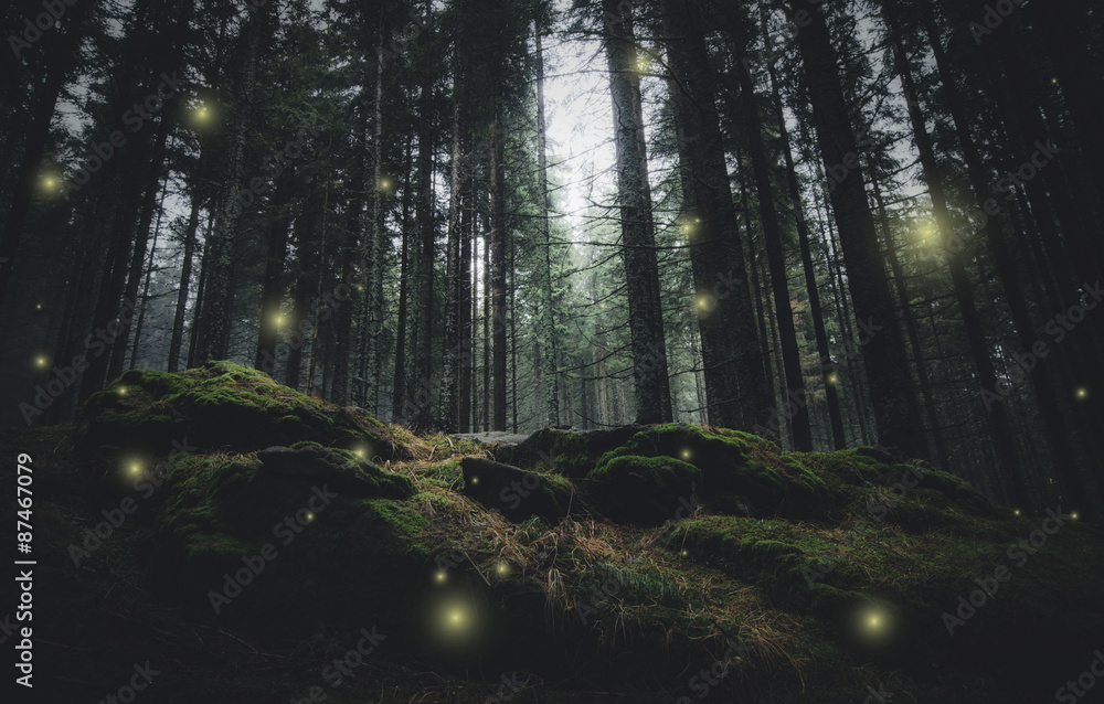 magical lights sparkling in mysterious forest at night - obrazy, fototapety, plakaty 