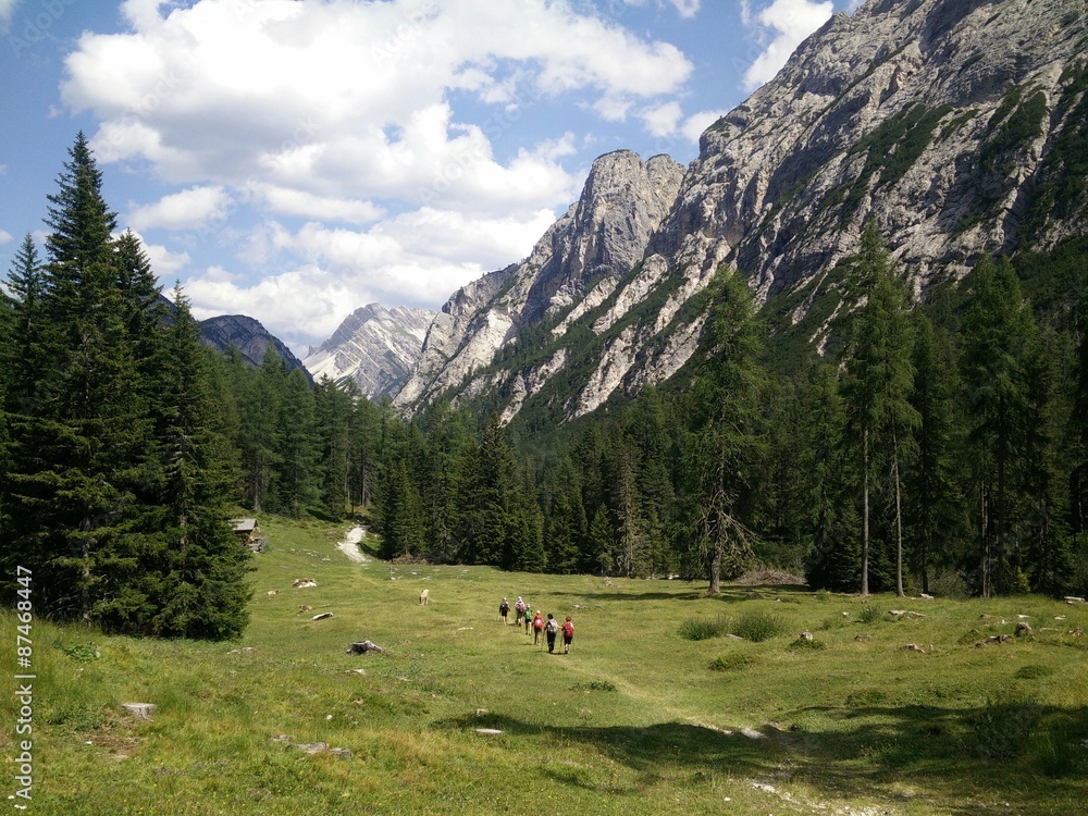 People hiking in a green valley