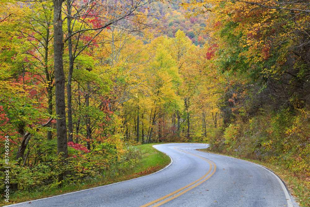 Autumn Country Road