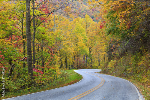 Autumn Country Road