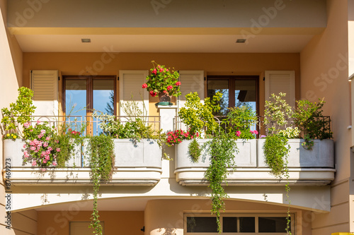 windows with flower pots