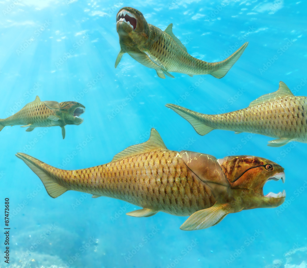 Group of Dunkleosteus Circling Group of Dunkleosteus Circling