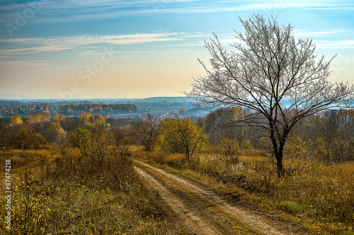 Autumn forest near Volga river, Russia