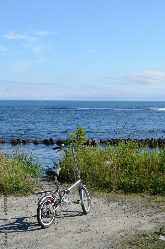 Obraz premium 自転車と海