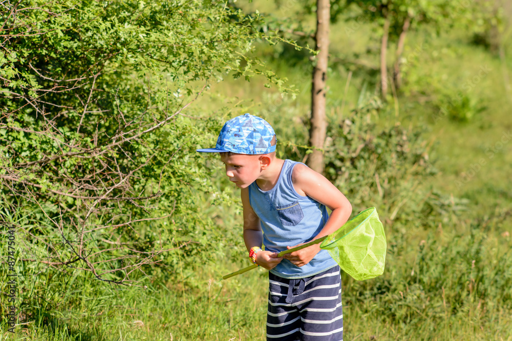 Boy with Catcher Net Looking for Insects to Catch Boy with Catcher Net Looking for Insects to Catch