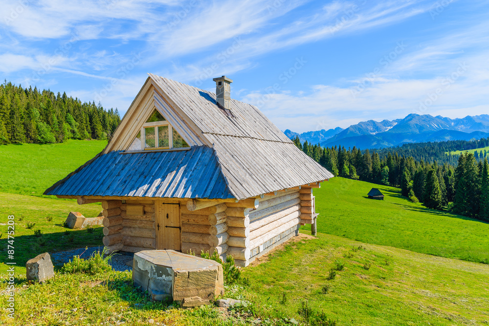 Wooden house on green meadow in summer, Tatra Mountains, Poland