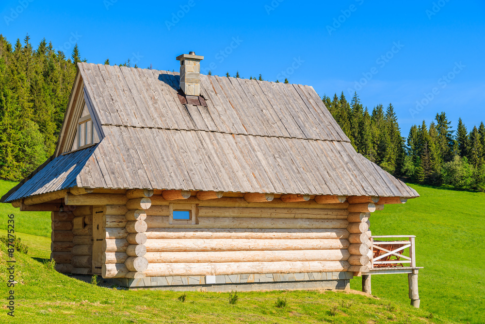 Wooden hut on green meadow in summer, Tatra Mountains, Poland