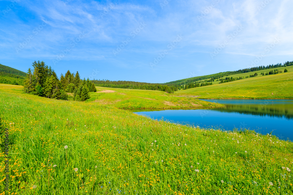 Fototapeta premium Green meadow with flowers and beautiful lake in summer landscape of Tatra Mountains, Slovakia