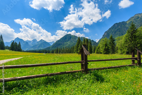 Wooden fence on on green meadow in summer landscape of High Tatra Mountains  Slovakia