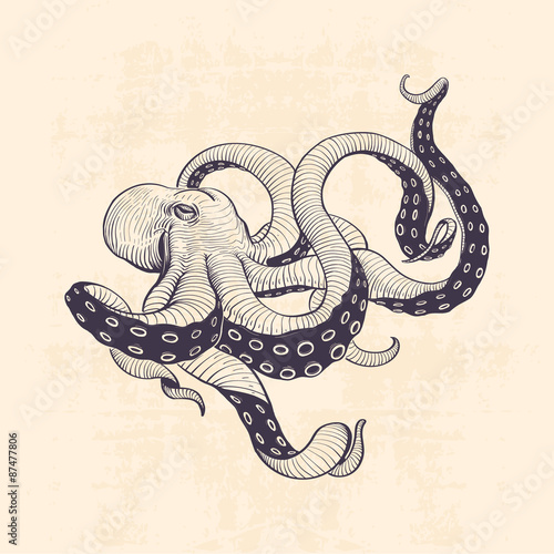 octopus vintage