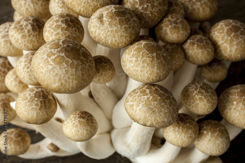 Shimeji mushrooms shot a wooden background at an angle close-up