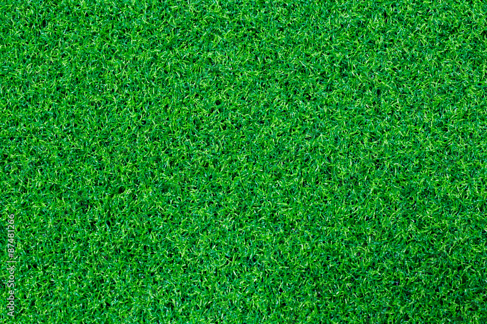 Fototapeta premium Artificial turf soccer field