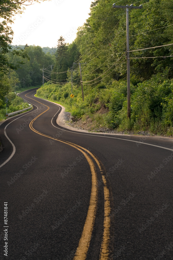 Multiple Curves in a Road Through the Forest