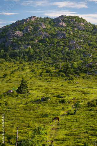 A very colorful and lush warm summer morning at Grayson Highlands © skiserge1