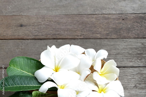 white plumaria flower in basket on wooden photo