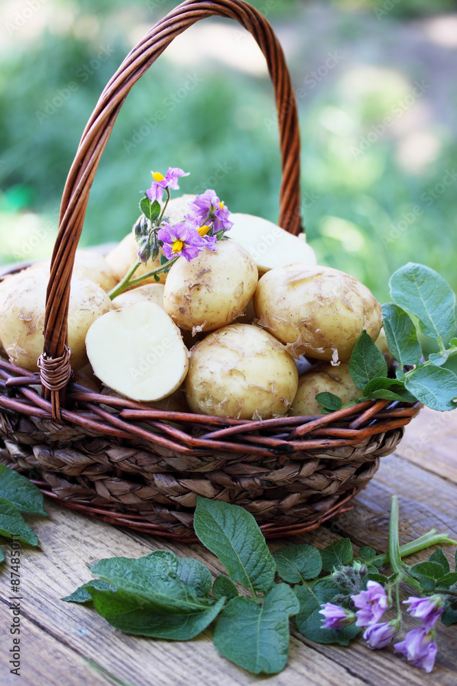 potatoes in the basket