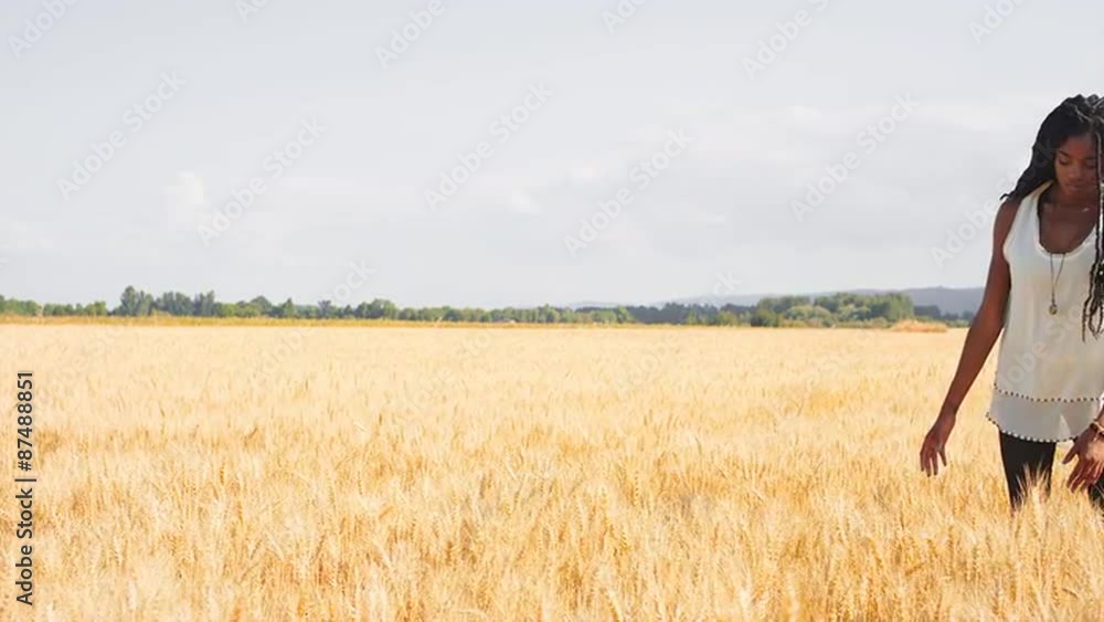 Beautiful Black Woman Standing in a Wheat Field Beautiful Black Woman Standing in a Wheat Field