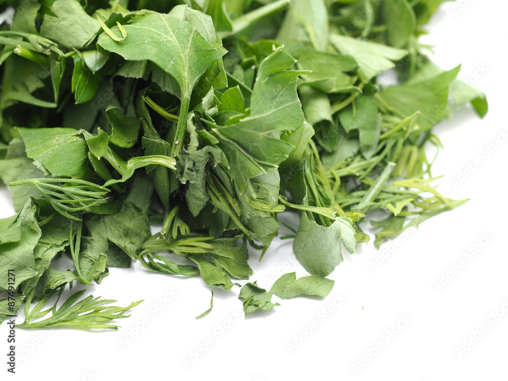 various herbs on white background various herbs on white background