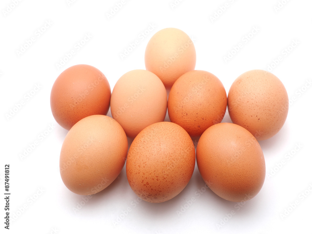 egg on a white background