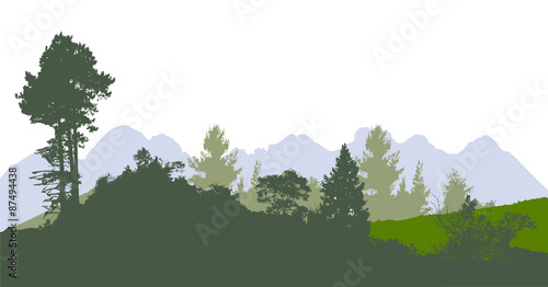 Mountain panoramic landscape with silhouettes of trees and plants