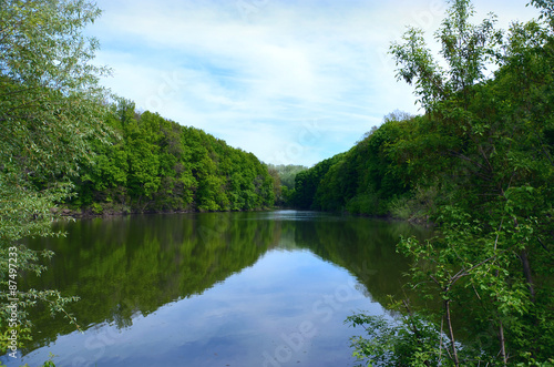 River flowing between the forest