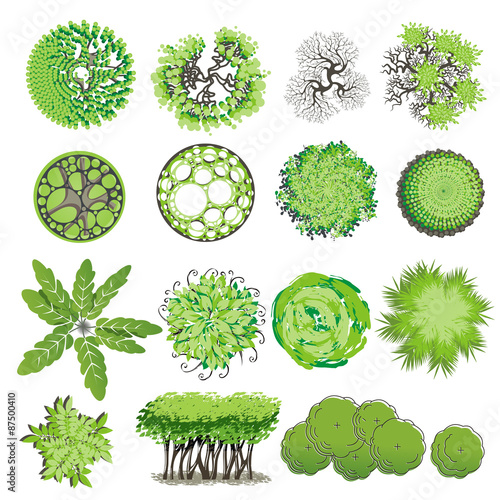 Trees and bush item top view for landscape design, vector icon.