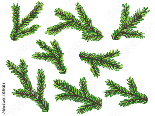 Vektor Set: Grüne Tannenzweige, Kreidezeichnung, freigestellt