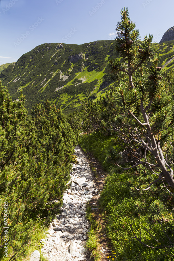 Obraz premium mountains