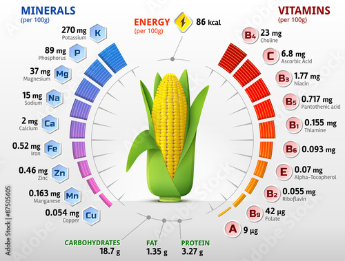 Vitamins and minerals of corn cob. Ear of maize nutrition facts