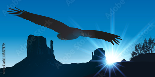 Aigle Monument Valley