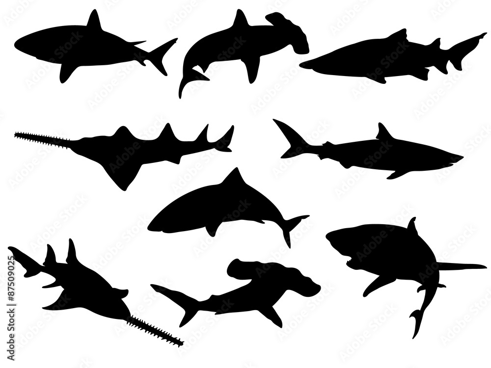 Naklejka premium Set of Shark Silhouettes. Vector Images