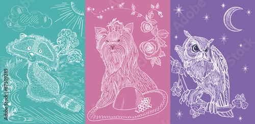 Animals and bird: raccoon, dog, owl