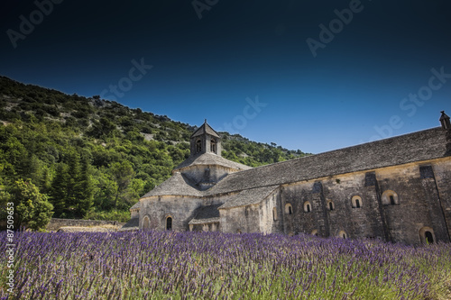 Abbey Gordes