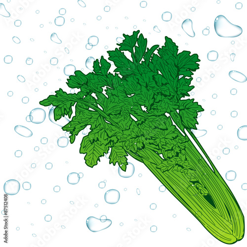 fresh celery