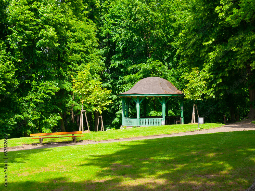 Wooden pavilion in the park