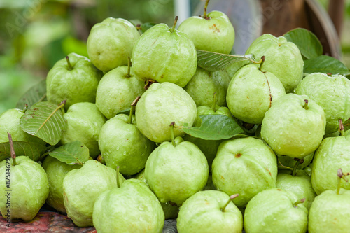 fresh guava fruit © phadungsak