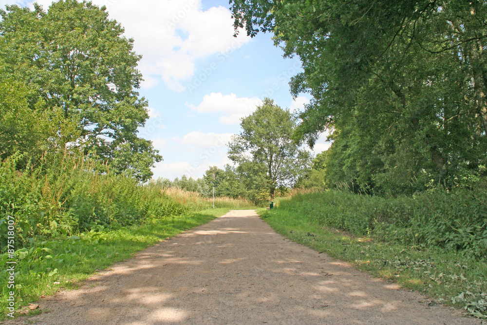 trail trail