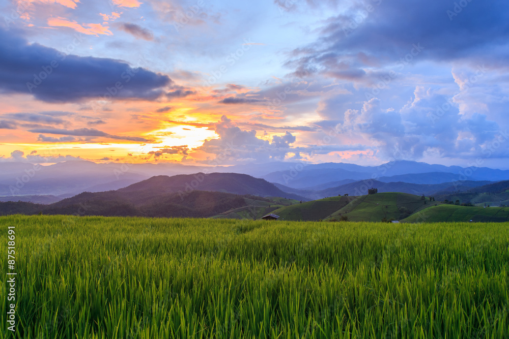 Obraz premium Green Terraced Rice Field in Pa Pong Pieng , Mae Chaem, Chiang Mai, Thailand