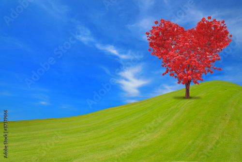 Heart-shaped red tree isolated