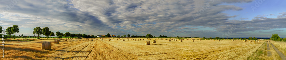 Beautiful yellow field with haystacks at sunset