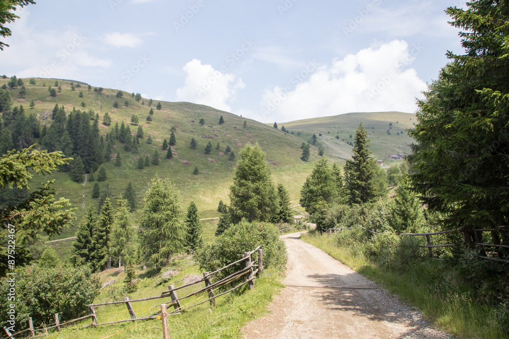 Path in the mountains near Brixen, South Tyrol, Italy