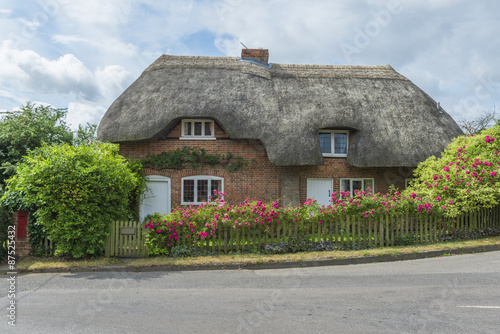 Traditional Thatched cottage in rural English countryside #87525432