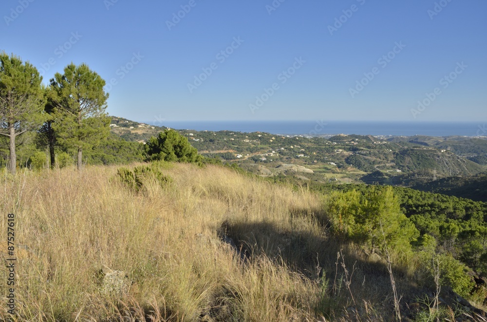 The Mediterranean sea from the mountain
