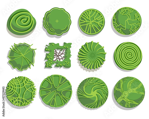 Trees and bush item top view for landscape design, vector icon.