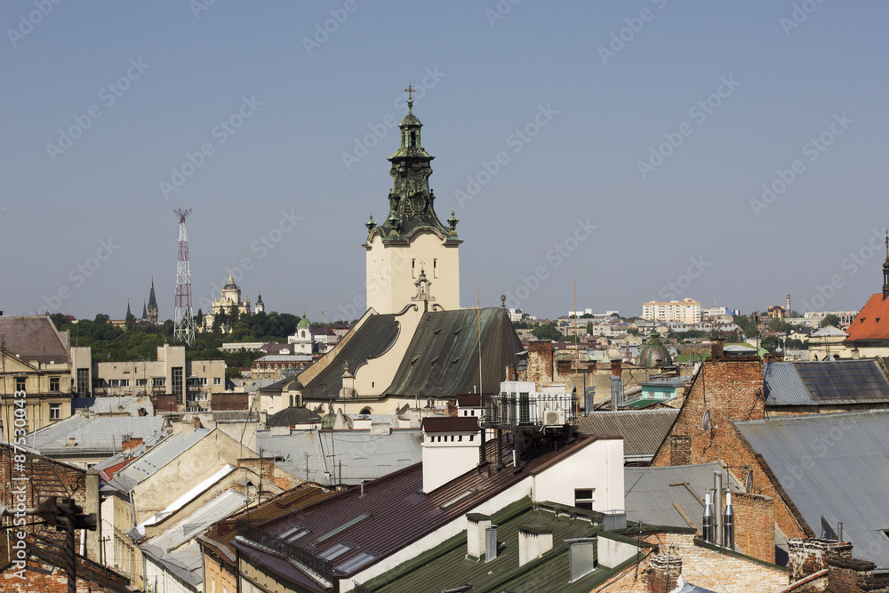 view from the height of the historical part of Lviv