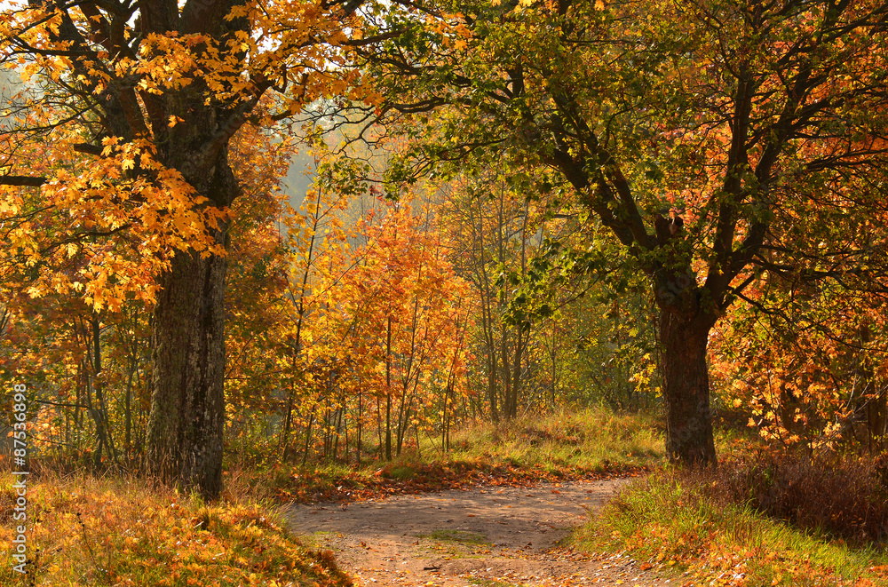 Sunny Autumn country scene